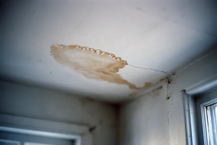 A water stain spreading across a plaster ceiling.